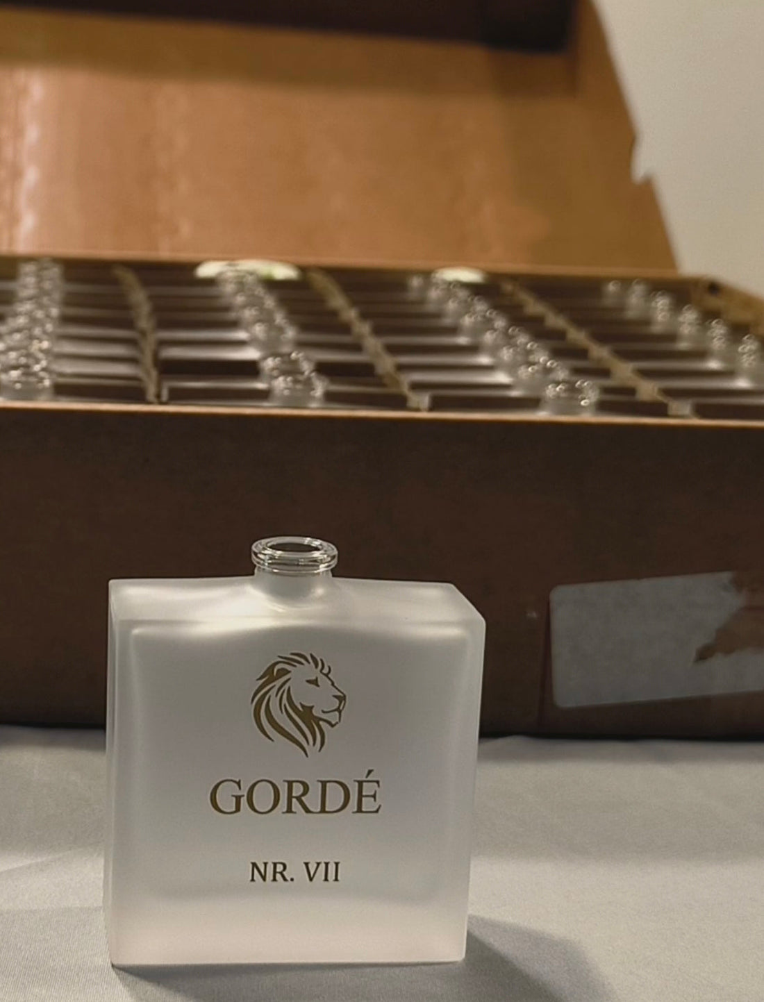 Die Entstehung von GORDE